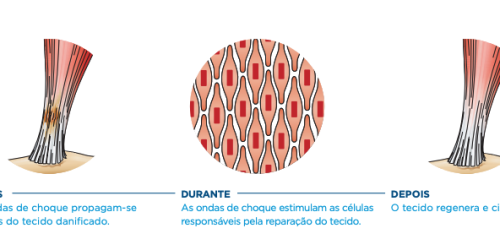 Captura de Tela 2025-05-13 às 15.51.39