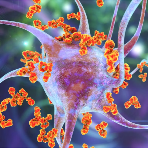 Design sem nome (15)