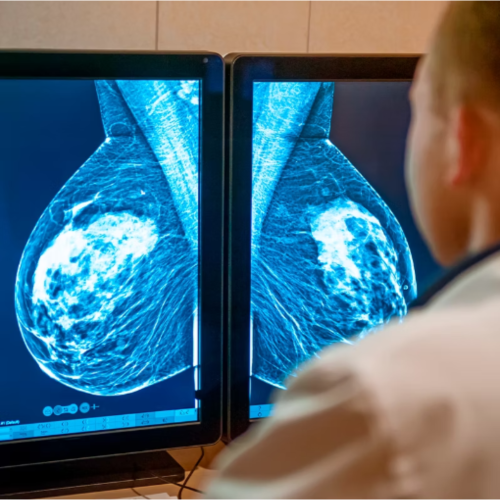 Design sem nome (20)