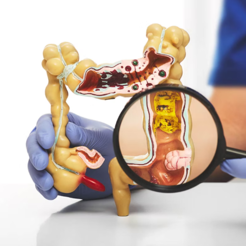 Design sem nome (33)